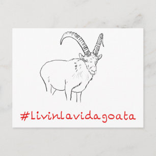 Livin La Vida Goata Funny Goat Art slogan Design Postcard