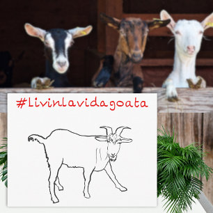 Livin La Vida Goata Funny Quirky Cute Goat Drawing Postcard