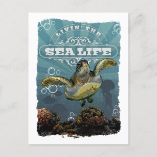 Livin' the Sea Life Turtle Postcard