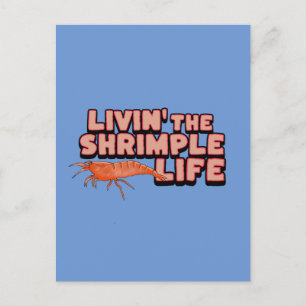 Livin' The Shrimple Life Shrimp Art Postcard