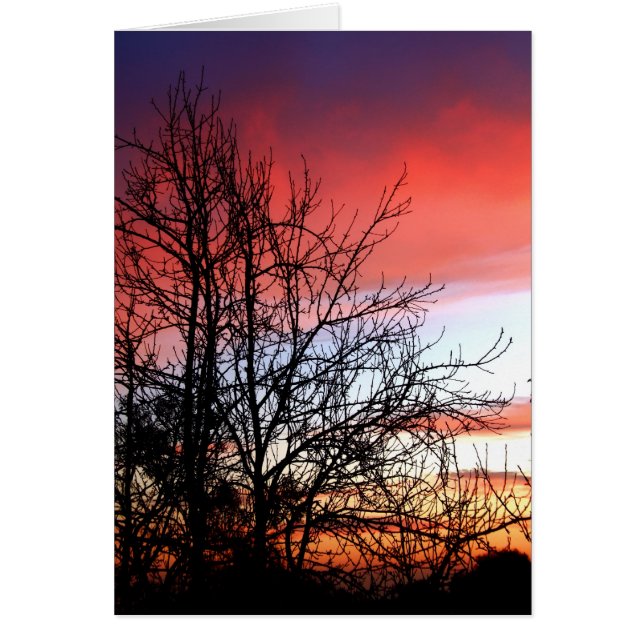 Living Art Tree Silhouette Red Skies Card (Front)