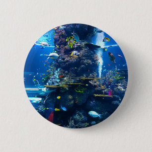Living Coral Reef with Fish 6 Cm Round Badge