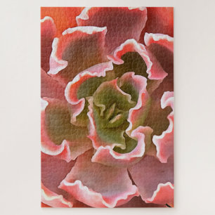 Living Coral Succulent Jigsaw Puzzle
