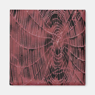 Lıving Coral Web Magnet