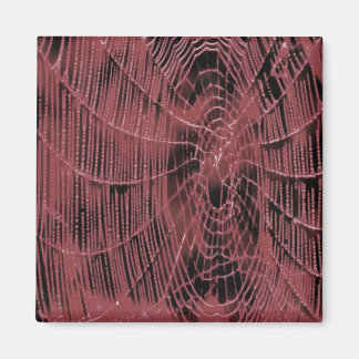 Lıving Coral Web Magnet