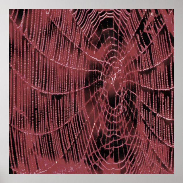 Lıving Coral Web Poster (Front)
