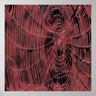 Lıving Coral Web Poster