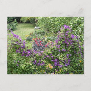 Living Fence ~ postcard