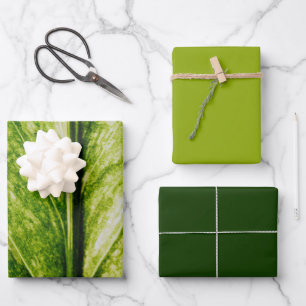 Living Green Eco Friendly Large Gift Bag Wrapping Paper Sheet