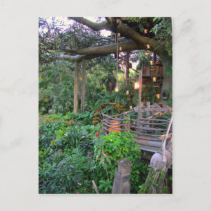 Living in the Trees Postcard