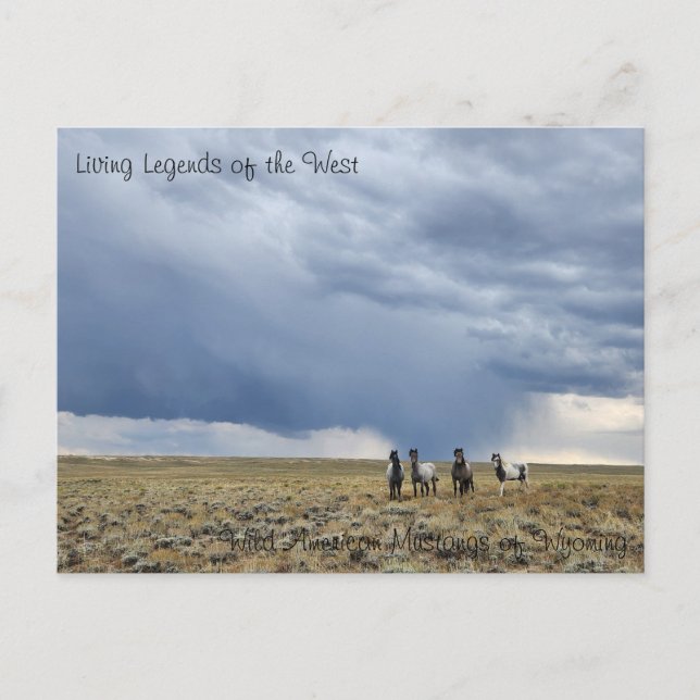 Living Legend of the West - Postcard (Front)