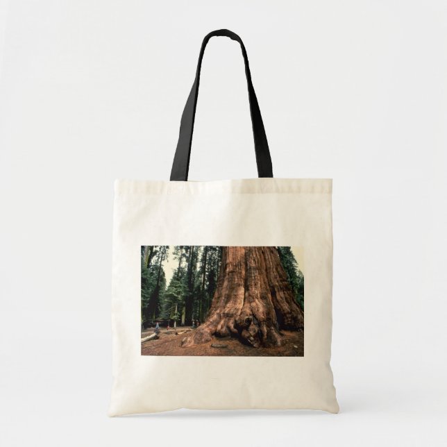 Living Mountain Tote Bag (Front)