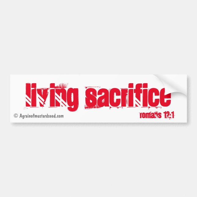 Living Sacrifice Bible Quotes Bumper Sticker (Front)