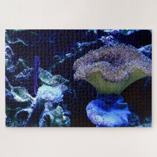 Living the Aquarium Life Jigsaw Puzzle