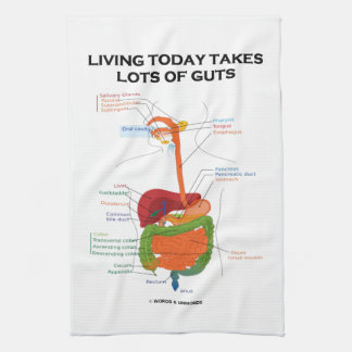 Living Today Takes Lots Of Guts Digestive System Tea Towel