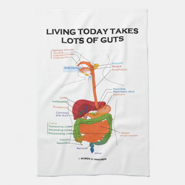 Living Today Takes Lots Of Guts Digestive System Tea Towel (Vertical)