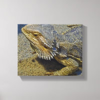 Living Under Fire - Bearded Dragon