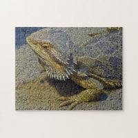 Living Under Fire - Bearded Dragon