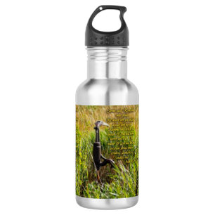 Living Water John 4 Inspirational 532 Ml Water Bottle