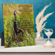 Living Water John 4 Inspirational