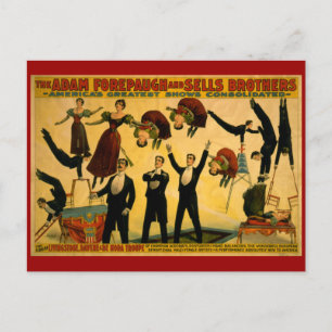 Livingstone Troupe Circus Poster Postcard