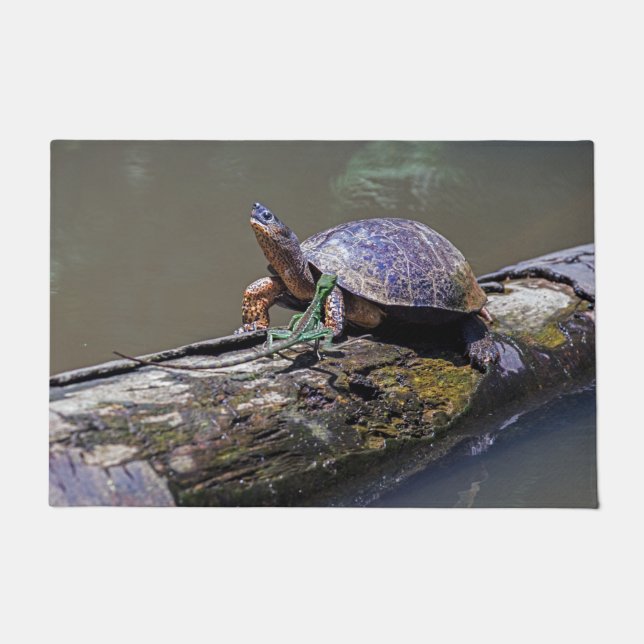 Lizard and River Turtle at Tortuguero - Costa Rica Doormat (Front)