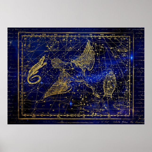 lizard and swan constellation poster (Front)