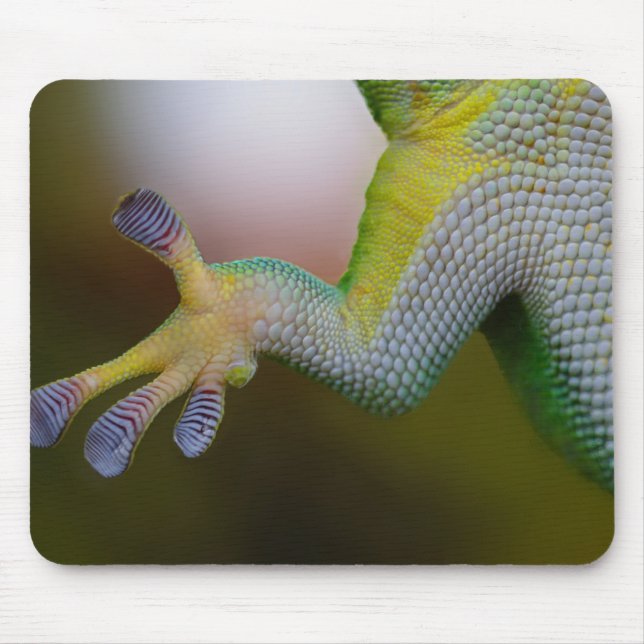 Lizard Arm Mouse Mat (Front)