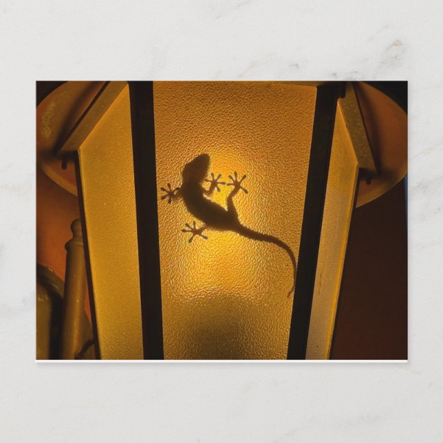Lizard Artistic Illustration Postcard (Front)