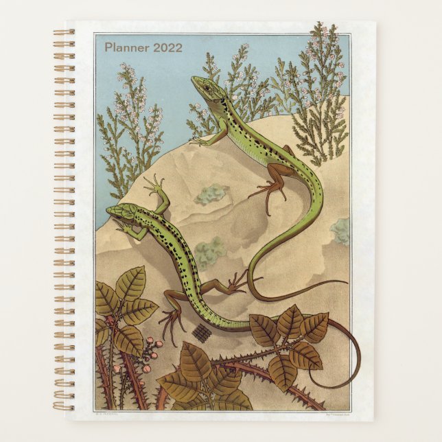 Lizard by Verneuil, Lézard, French Reptile Art, Planner (Front)