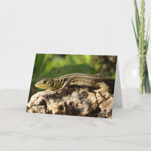 Lizard Card
