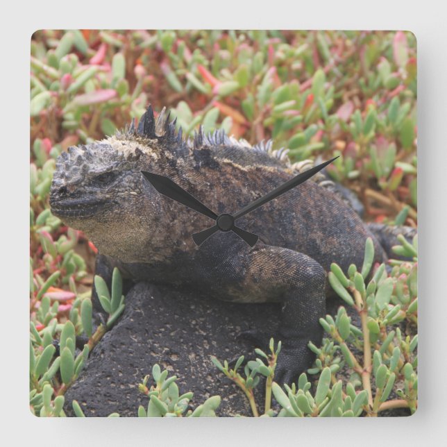 Lizard Clock (Front)