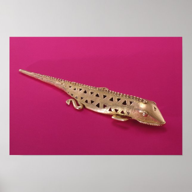 Lizard, from Colombia Poster (Front)