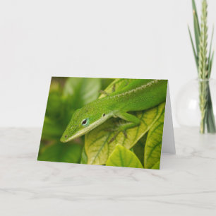 Lizard GC 001 Card