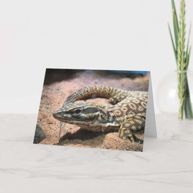 lizard greeting card (message inside) (Front)