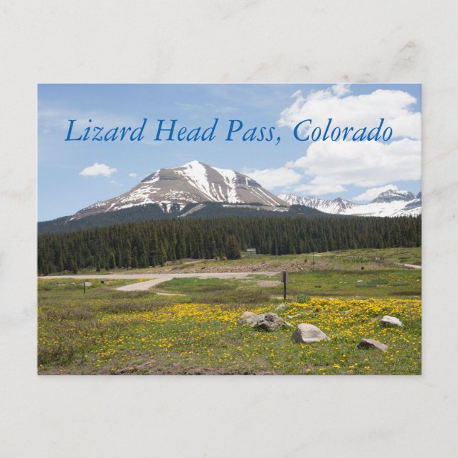 Lizard Head Pass, Colorado Postcard (Front)