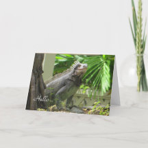 Lizard Hello blank card