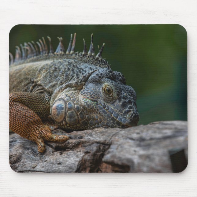lizard, iguana, nature mouse mat (Front)