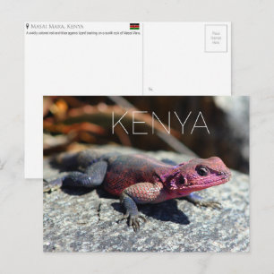 Lizard in Masai Mara, Kenya Travel Postcard
