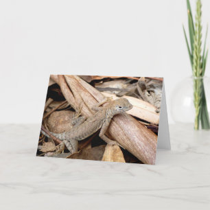 Lizard in the Dry Leaves Greeting Card