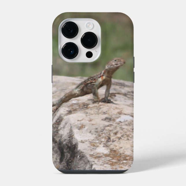 Lizard  iPhone case (Back)