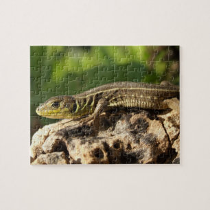 Lizard Jigsaw Puzzle