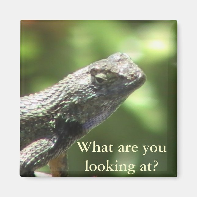 Lizard Magnet (Front)