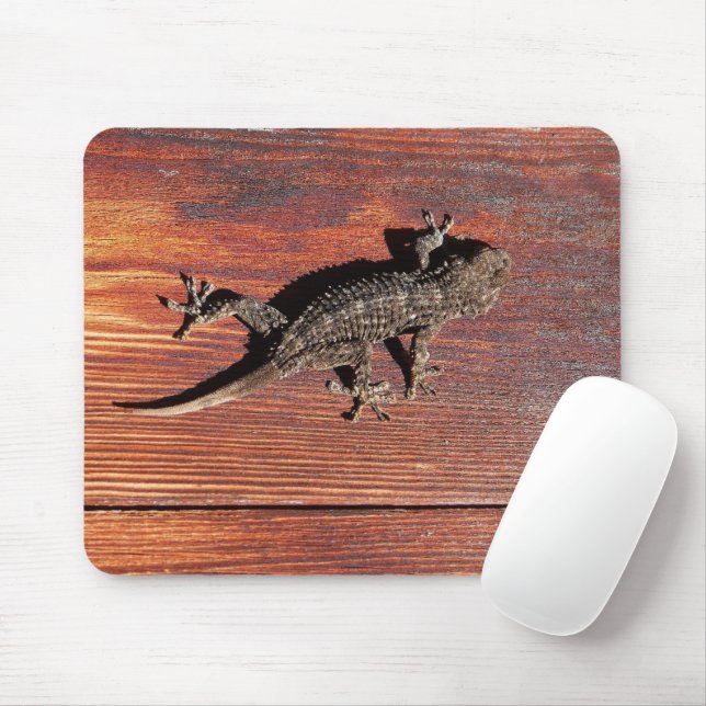 Lizard Mouse Mat (With Mouse)