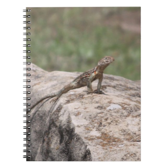 Lizard Notebook (Front)