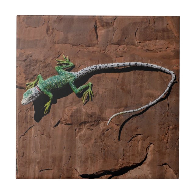 Lizard on a wall tile (Front)