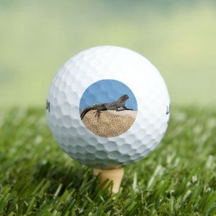 Lizard on Brick Golf Balls