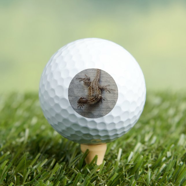 Lizard on Cement Golf Balls (Insitu Tee)