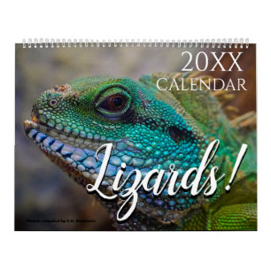 Lizard Photo Nature 2027 Wall Calendar
