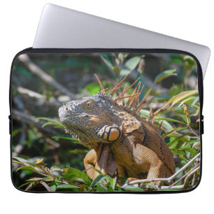 Lizard Photography, Orange Iguana Laptop Sleeve